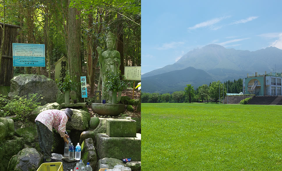 1頭1頭個体管理しています